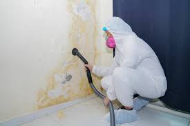 Why You Should Choose Our Mold Remediation Services in Scottsburg, IN